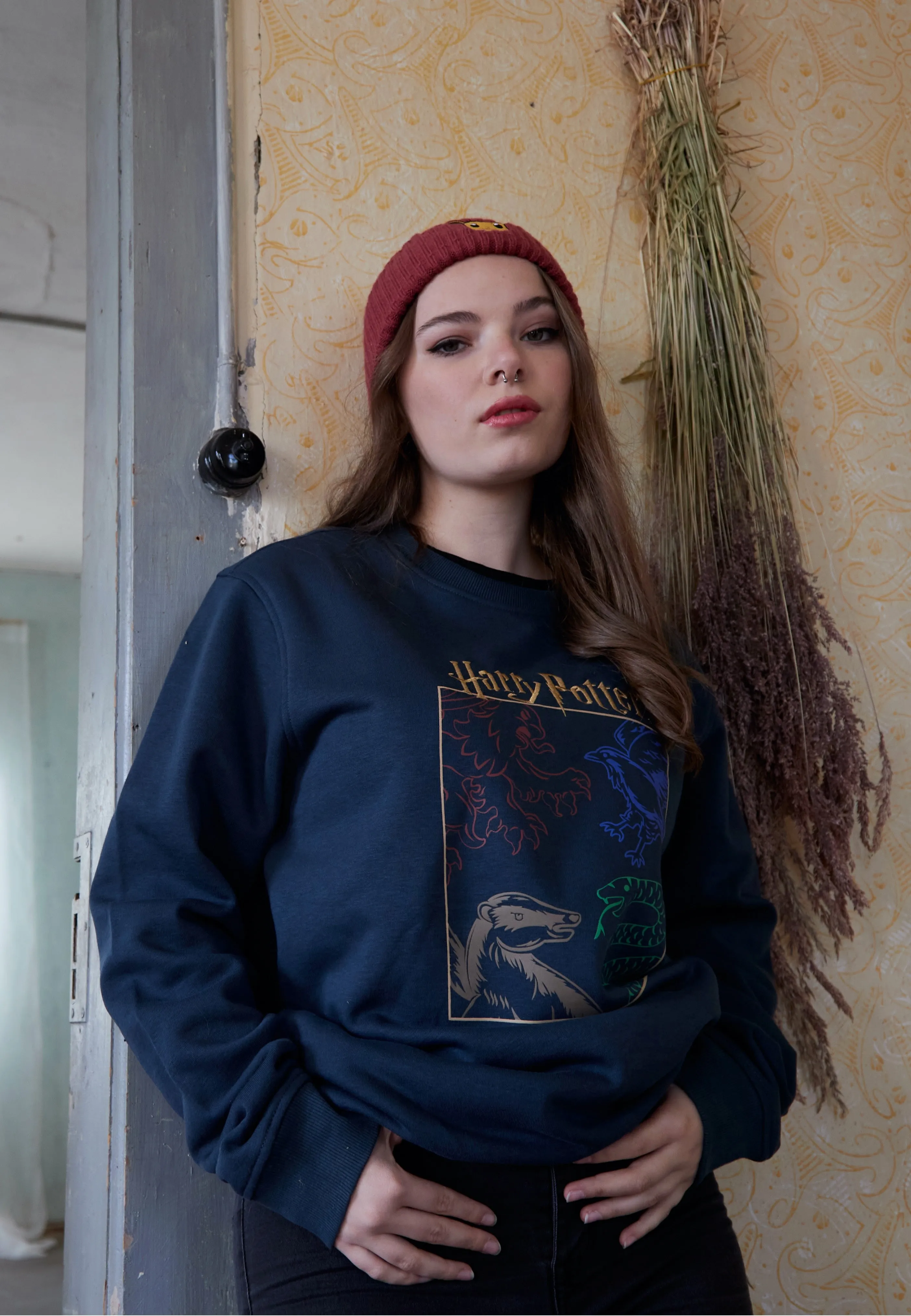 Harry Potter - Houses - Sweater