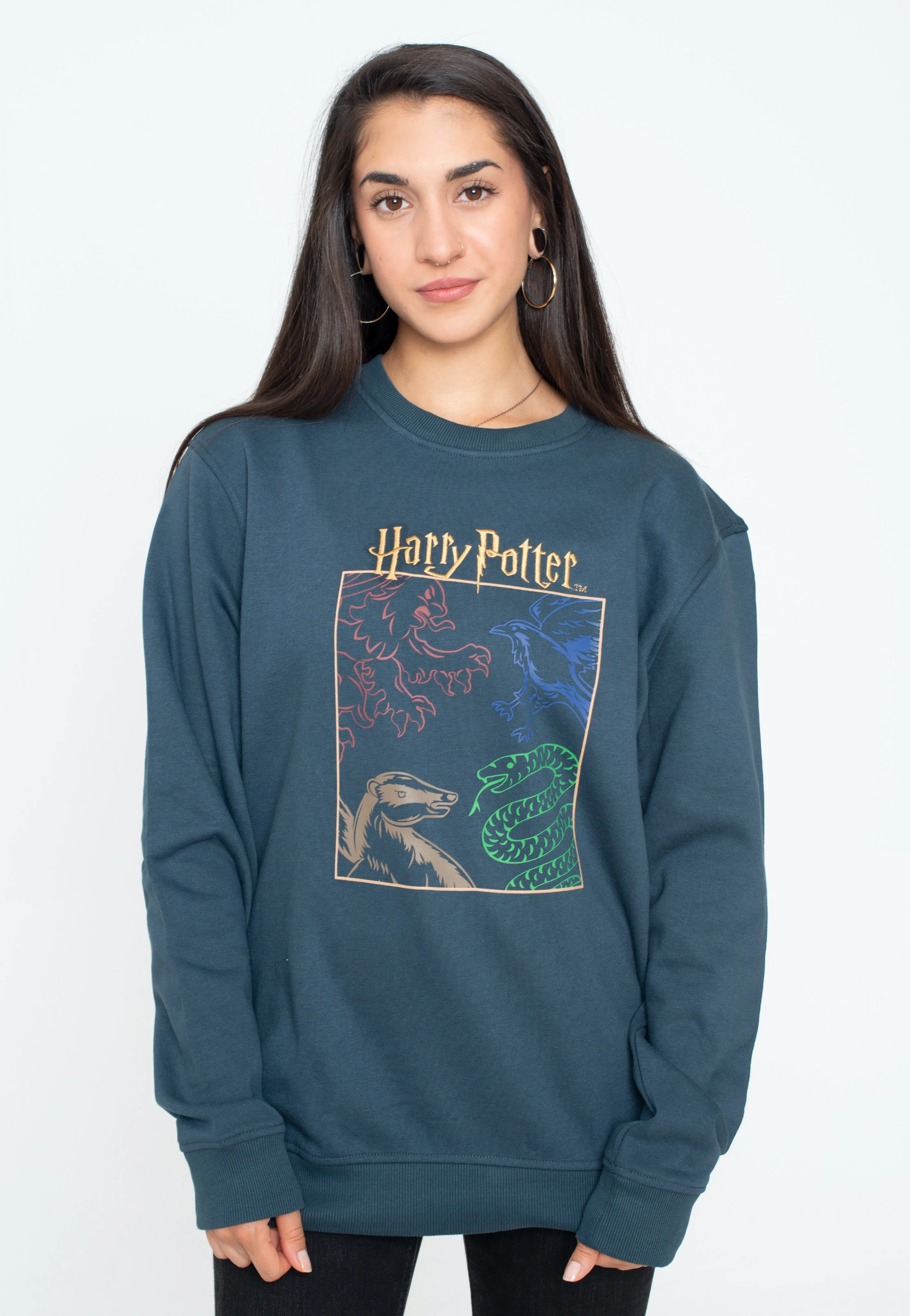 Harry Potter - Houses - Sweater