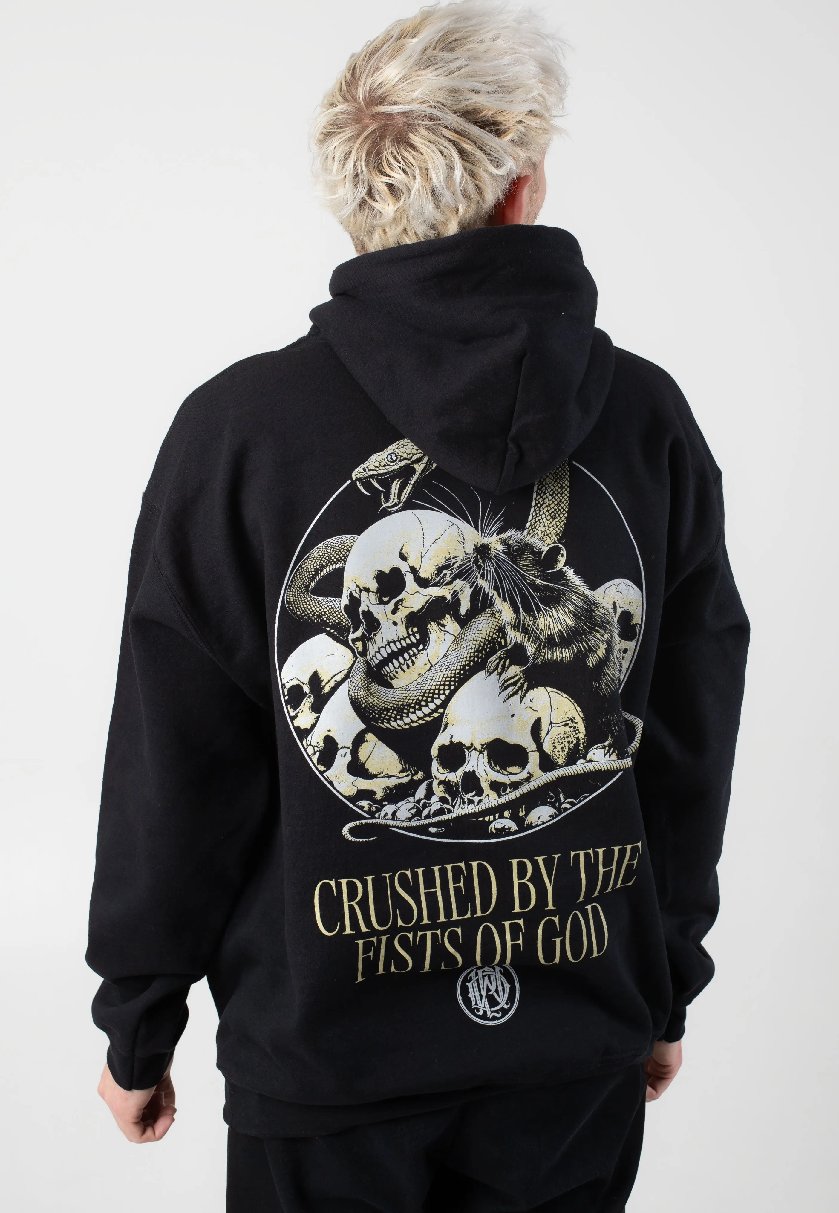 Parkway Drive - Fists Of God - Hoodie