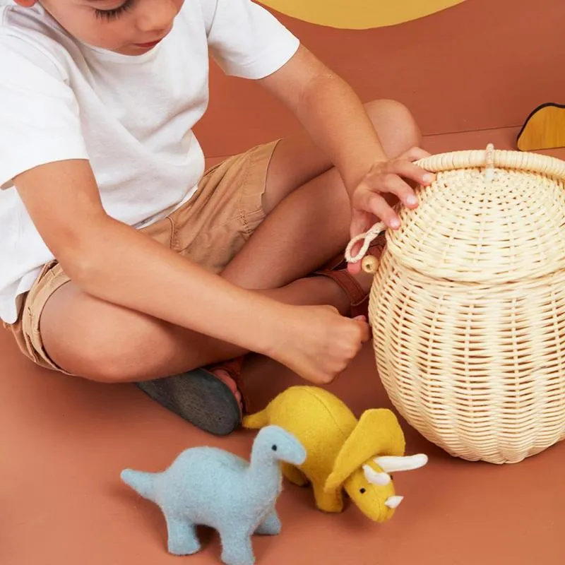 RATTAN EGG BASKET